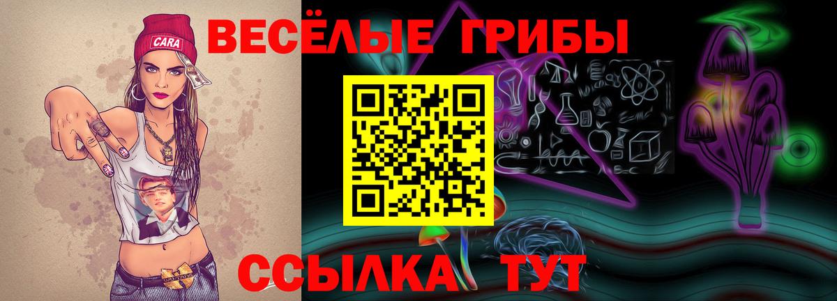 Псилоцибиновые грибы мицелий  Вход с VPN  цены наркотик  Чапаевск 